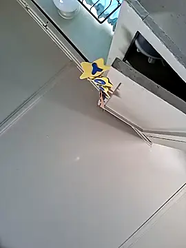 Snapshot of Pedro98801 chatting on March 16, 2026, 6:01 pm Pedro98801 online show from March 16, 2026, 6:01 pm