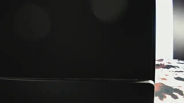 Dana  Whitttte online show from November 9, 2025, 1:31 pm