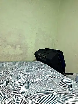 Cat Hot Party online show from December 2, 2025, 3:56 am