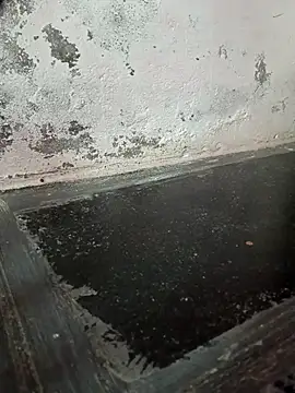 Snapshot of chubby_babitha-telugu chatting on September 19, 2025, 3:19 am chubby babitha-telugu online show from September 19, 2025, 3:19 am