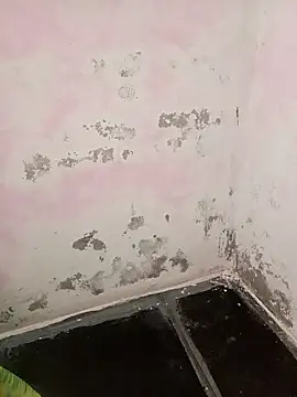 Snapshot of chubby_babitha-telugu chatting on September 25, 2025, 3:21 am chubby babitha-telugu online show from September 25, 2025, 3:21 am