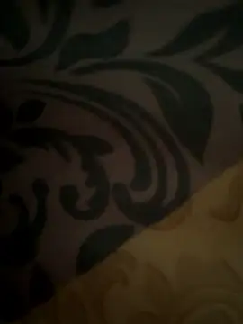 danilyns online show from January 8, 2026, 5:32 am