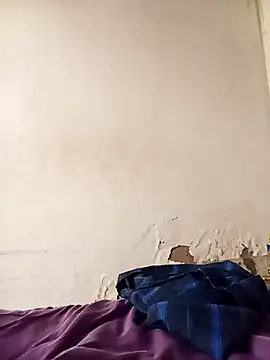 Snapshot of average_price chatting on December 3, 2025, 8:00 am average price online show from December 3, 2025, 8:00 am