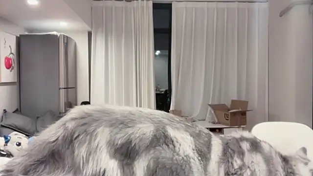 ZhaoZhao-ZM online show from October 11, 2025, 2:15 pm