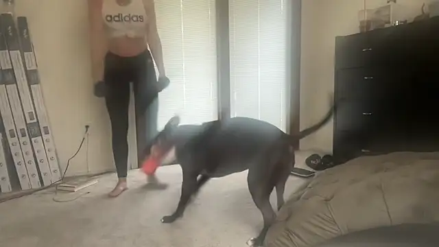 NurseStephania online show from November 13, 2025, 7:46 pm