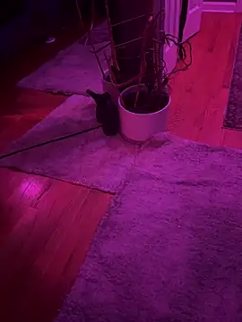 twunkwitadunk online show from November 22, 2025, 3:22 pm