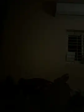 Chaitu-teluguhot online show from February 27, 2026, 7:03 pm