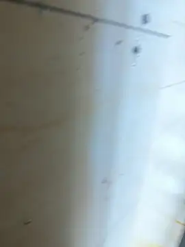 Fengbaby-555 online show from April 17, 2026, 2:09 pm