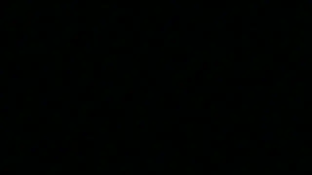 Snapshot of Pyrelissa chatting on December 4, 2025, 6:34 am Pyrelissa online show from December 4, 2025, 6:34 am