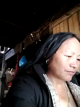 Samdim23 online show from November 23, 2025, 3:06 am