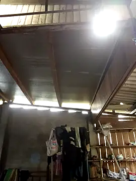 Snapshot of SSexykute3456 chatting on October 4, 2025, 3:15 am SSexykute3456 online show from October 4, 2025, 3:15 am