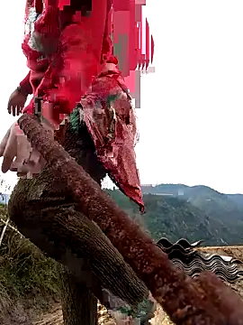 Snapshot of SSexykute3456 chatting on November 24, 2025, 1:49 am SSexykute3456 online show from November 24, 2025, 1:49 am