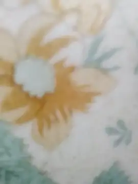 haryanaboypanipat12 online show from March 27, 2026, 1:00 am