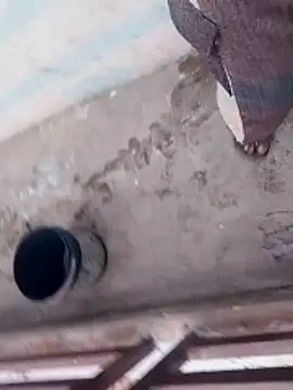 haryanaboypanipat12 online show from April 3, 2026, 12:52 am