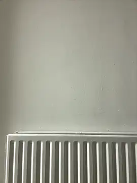 dlasian2026 online show from October 31, 2025, 11:06 pm