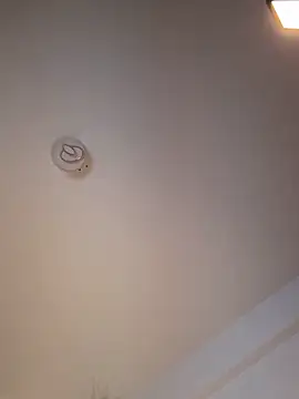 Snapshot of Andrestarr chatting on March 11, 2026, 6:47 pm Andrestarr online show from March 11, 2026, 6:47 pm