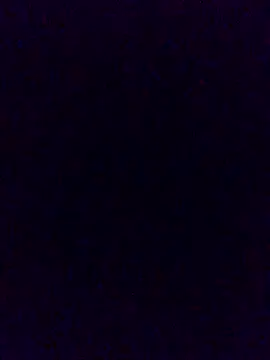 Snapshot of Cachorrinha2025 chatting on November 21, 2025, 2:05 pm Cachorrinha2025 online show from November 21, 2025, 2:05 pm