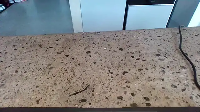 Snapshot of cruelworldxxx chatting on February 14, 2026, 11:01 pm cruelworldxxx online show from February 14, 2026, 11:01 pm