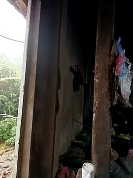 Snapshot of tulipsexy chatting on October 16, 2025, 12:44 am tulipsexy online show from October 16, 2025, 12:44 am