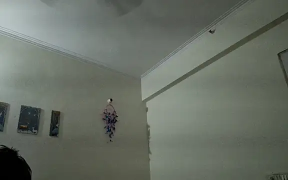 Snapshot of Aasmaan69Aranya chatting on April 1, 2026, 9:56 pm Aasmaan69Aranya online show from April 1, 2026, 9:56 pm