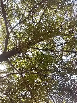 ipvk online show from April 8, 2026, 4:23 am