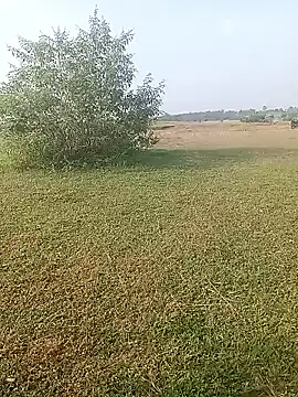 AgitatedStrip9 online show from October 1, 2025, 2:17 am