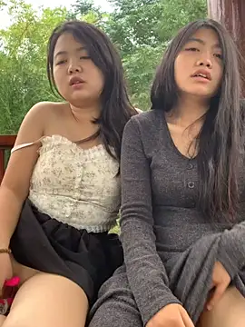 taotao 19 online show from September 26, 2025, 3:43 am