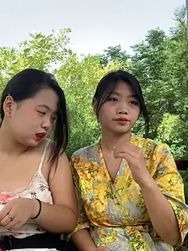 taotao 19 online show from September 29, 2025, 3:11 am