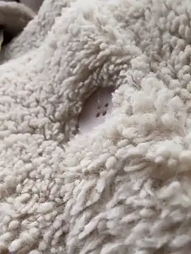 RonnieKiss online show from October 24, 2025, 3:25 am