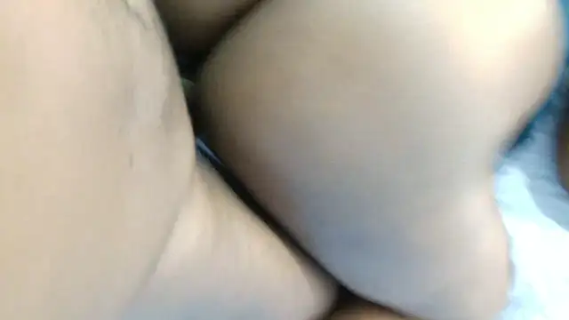 Dandelion enigman online show from January 11, 2026, 9:25 am