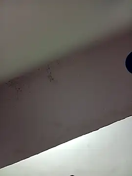 School medam online show from December 5, 2025, 3:41 pm