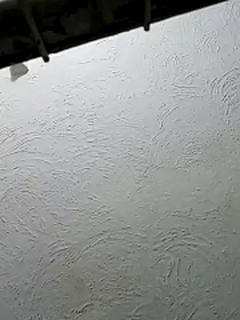 papitoclub online show from November 16, 2025, 12:27 am