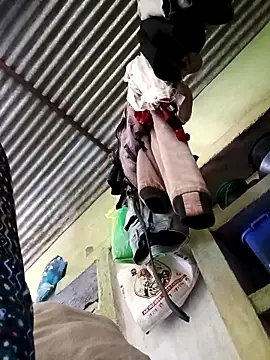 Haliya88 online show from March 1, 2026, 6:37 am