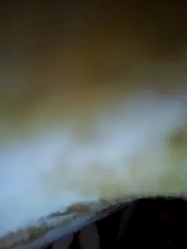 Snapshot of alone_boy802 chatting on November 6, 2025, 4:19 pm alone boy802 online show from November 6, 2025, 4:19 pm