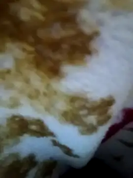 Snapshot of alone_boy802 chatting on November 9, 2025, 4:49 pm alone boy802 online show from November 9, 2025, 4:49 pm