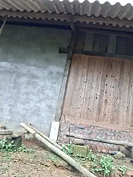 xuxulovezz online show from November 9, 2025, 6:55 am