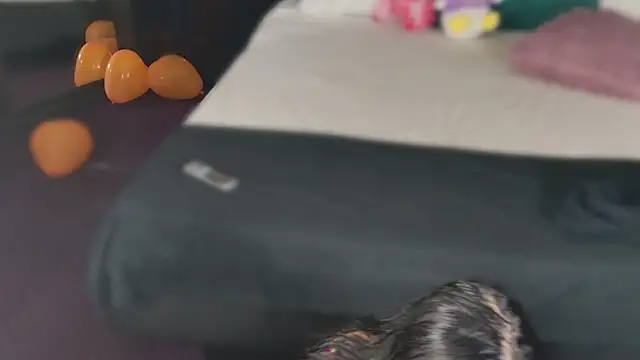 Snapshot of MeganSin_ chatting on November 6, 2025, 5:30 am MeganSin online show from November 6, 2025, 5:30 am