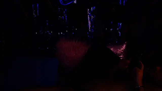 big bearr online show from October 5, 2025, 2:48 pm