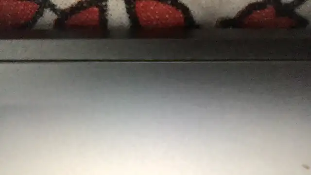 Snapshot of paula19800 chatting on November 25, 2025, 6:19 pm paula19800 online show from November 25, 2025, 6:19 pm