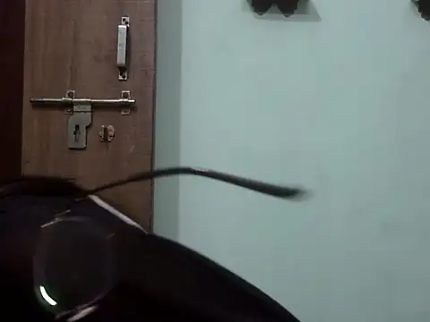 Lusty Shreya  online show from November 22, 2025, 5:17 am