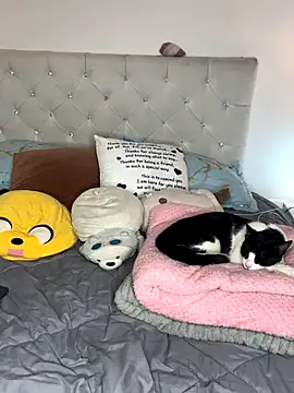 Snapshot of sunnymoonn_1 chatting on October 2, 2025, 8:05 pm sunnymoonn 1 online show from October 2, 2025, 8:05 pm