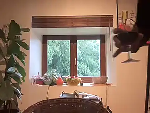 Snapshot of chtentation chatting on February 14, 2026, 2:03 pm chtentation online show from February 14, 2026, 2:03 pm