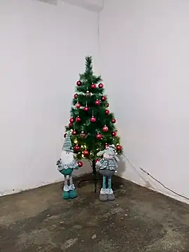 fabulousgirl online show from December 16, 2025, 3:55 am