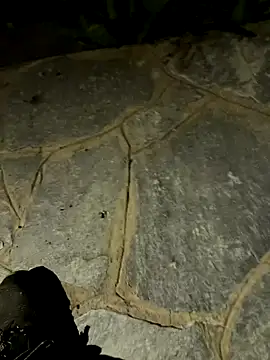 gptre online show from September 30, 2025, 7:41 pm