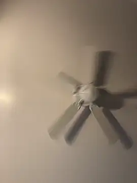 pmonie online show from November 16, 2025, 12:05 am