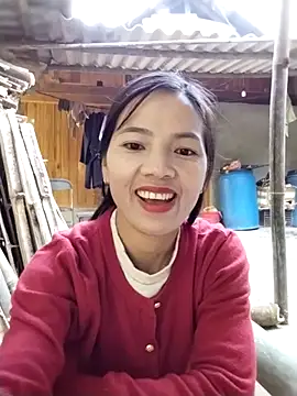 lmc-zz online show from November 30, 2025, 2:48 am