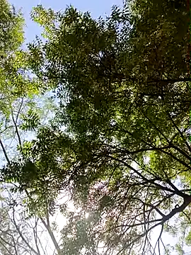 Rs sonam online show from April 13, 2026, 9:15 am