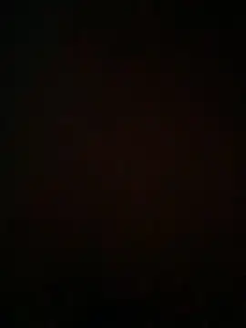 NICOLLE  12 online show from March 6, 2026, 3:08 pm