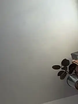 Snapshot of UnitedMap1 chatting on November 20, 2025, 2:50 pm UnitedMap1 online show from November 20, 2025, 2:50 pm