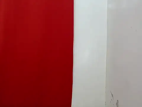 Snapshot of amandareddragon chatting on November 21, 2025, 4:38 pm amandareddragon online show from November 21, 2025, 4:38 pm